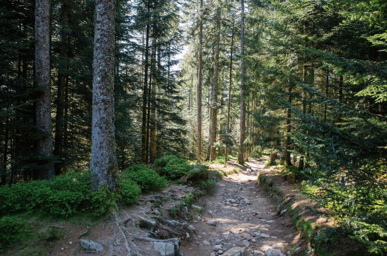 Вілла Le Refuge Du Cerf Ле-Толі Екстер'єр фото